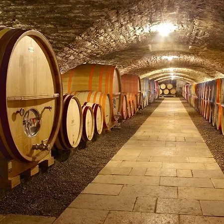 Chateau De Chassagne-Montrachet-2