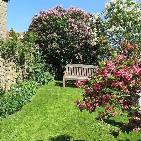 Pear Tree House B&B-2