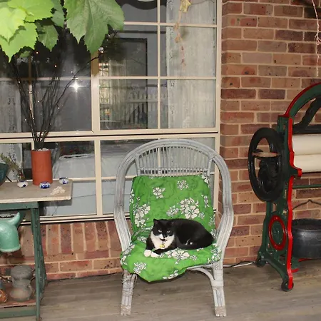 Blue Gum Cottage On Bay-2