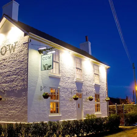 The Cow Dalbury-3