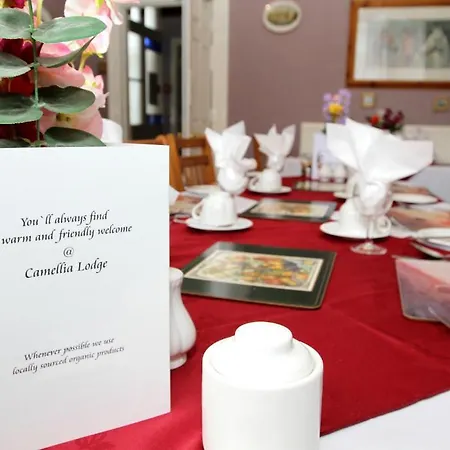 Camellia Lodge Guest House-3
