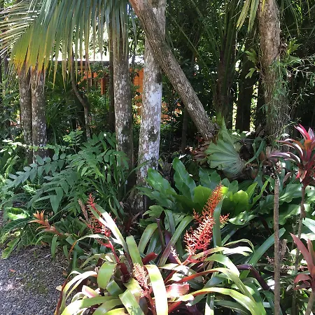 Kin Kin Cottage Retreat-3