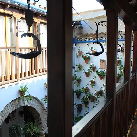 Casa Longa-3