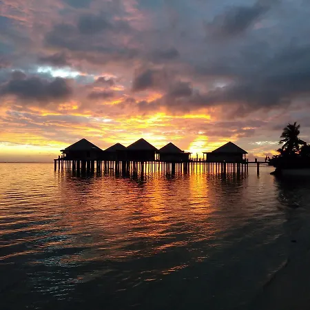 Coconuts Beach Club Resort And Spa-2