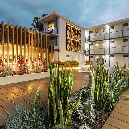Haven Glebe-2
