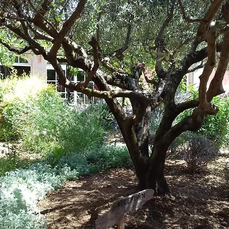Les Jardins de l'Ermitage-3