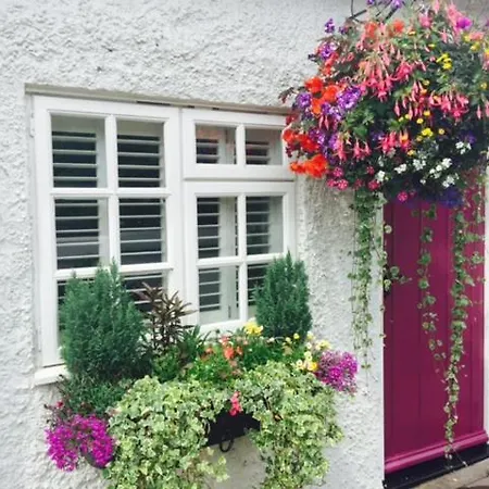 The Swan Inn-3