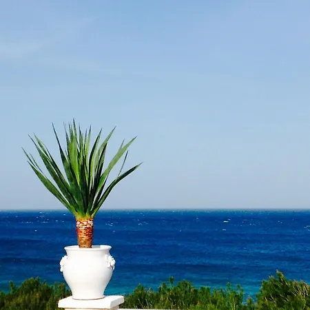 Playa Del Mar - Adults Only-2