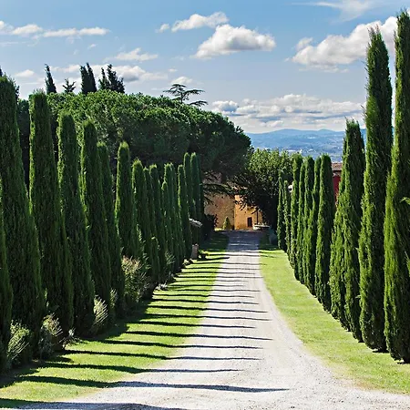 Al Gelso Bianco-3