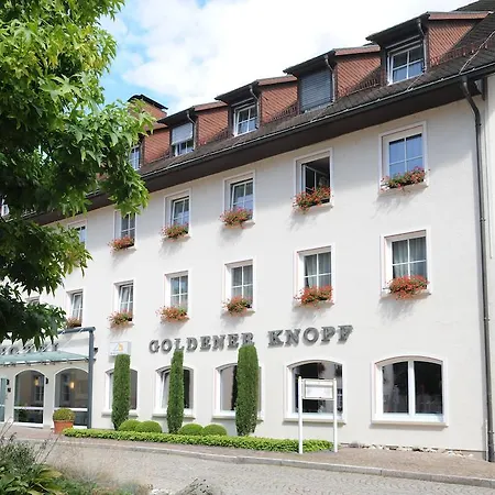 Hotel Goldener Knopf-3