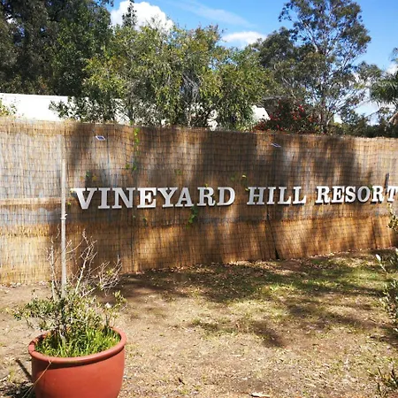 Vineyard Hill-3