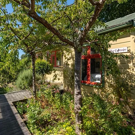 Shy Cottage And Studio-2