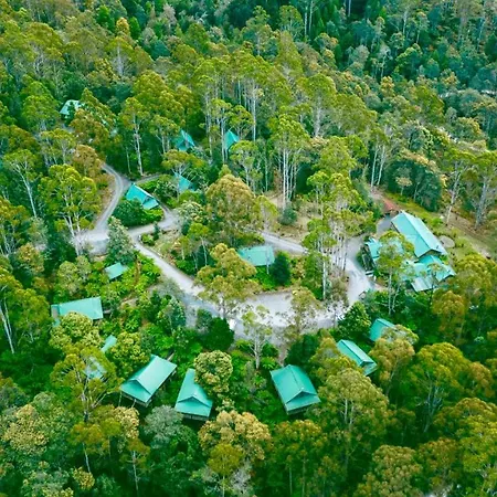 Lemonthyme Wilderness Retreat-3
