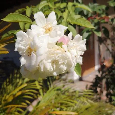 Belle Amie Self Catering-2