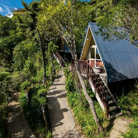 Punga Cove Resort-2