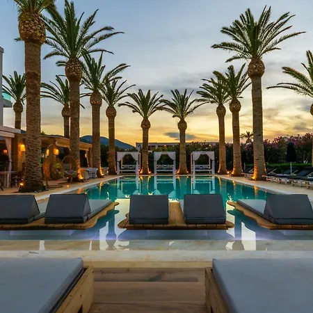 Drossia Palms Hotel And Nisos Beach Suites-3