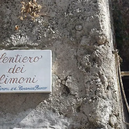 Torre Elisea-3