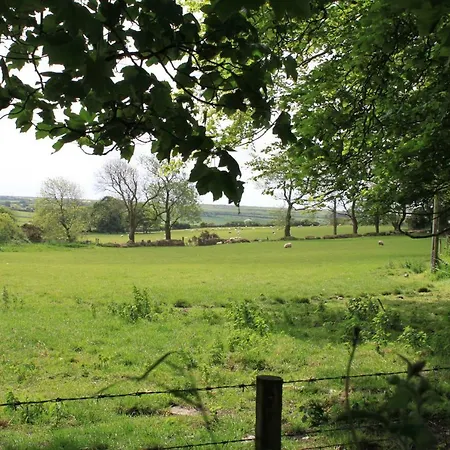 Ty Llwyd-3