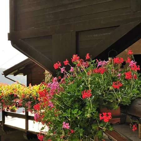 B&B il Sambuco-2