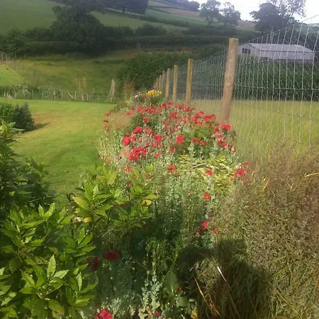 East Dunster Deer Farm B&B-2