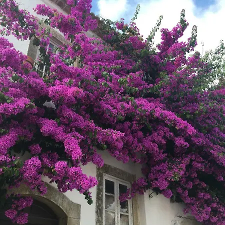 Casa Lagoa-3