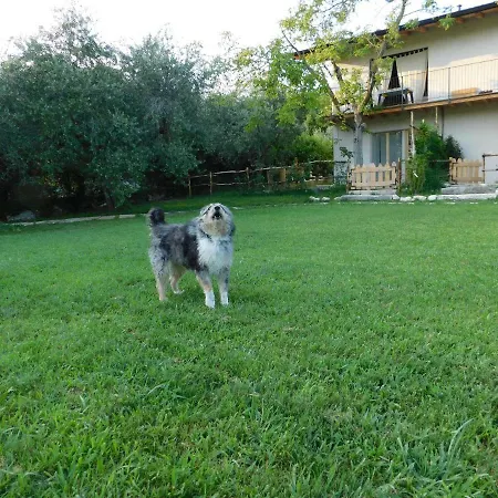 La Casa di Paglia-3