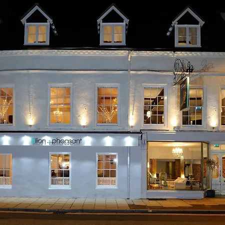 Lion & Pheasant Hotel-3
