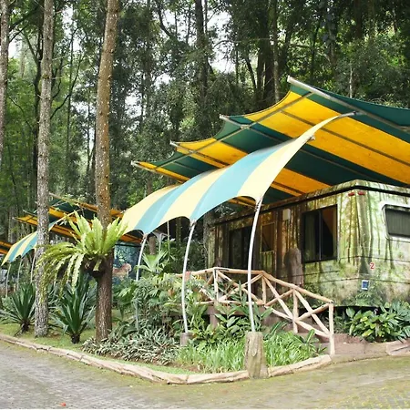 Safari Resort-3