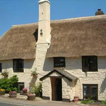 Myrtle Cottage B&B-3