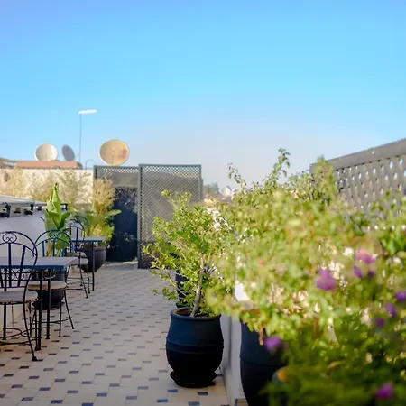 Riad Amina-2