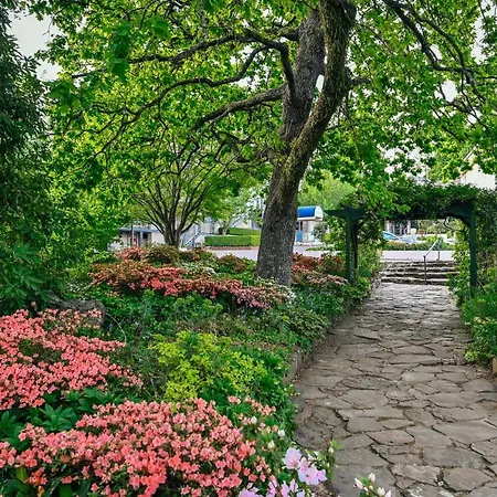 Nesuto Leura Gardens-2
