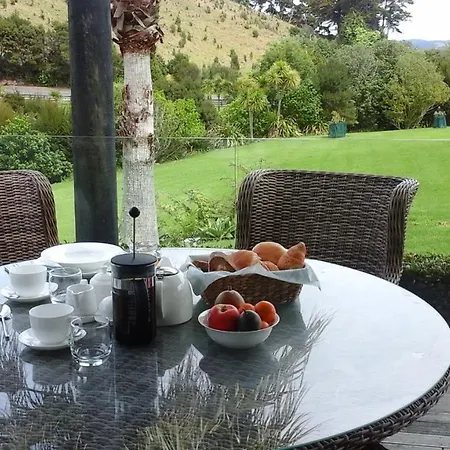 Pukeko Nest-3
