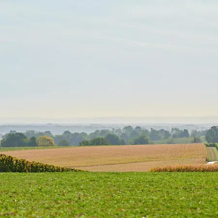 Weingasthaus Wisser-3
