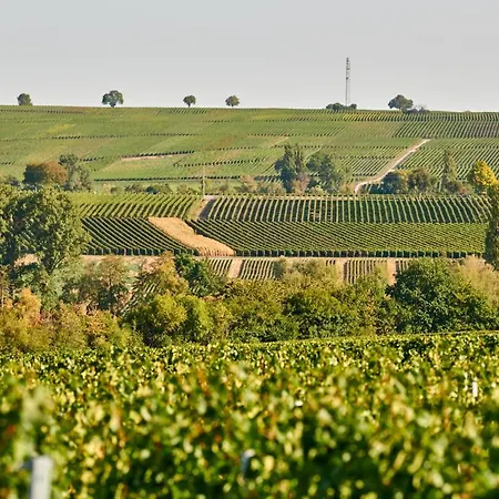 Weingasthaus Wisser-2