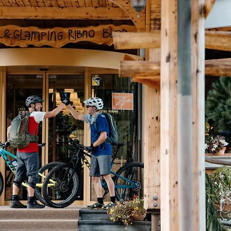 Ribno Alpine Hotel-2