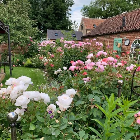 Clarke'S Farm-2