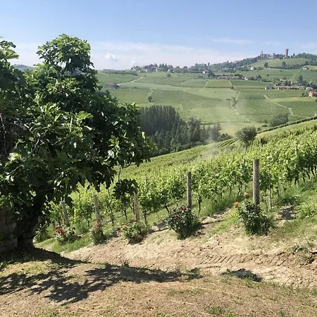 Tenuta Le More-3