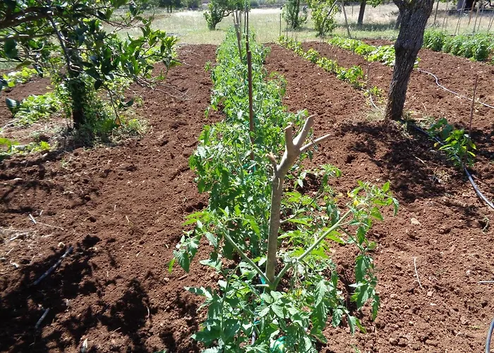 Agroturismo Na Set Centes - Adults Only