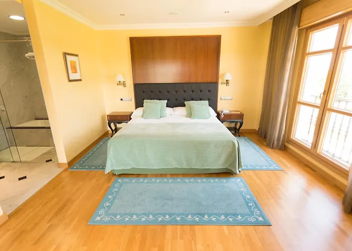 Hotel Torremilanos Aranda de Duero
