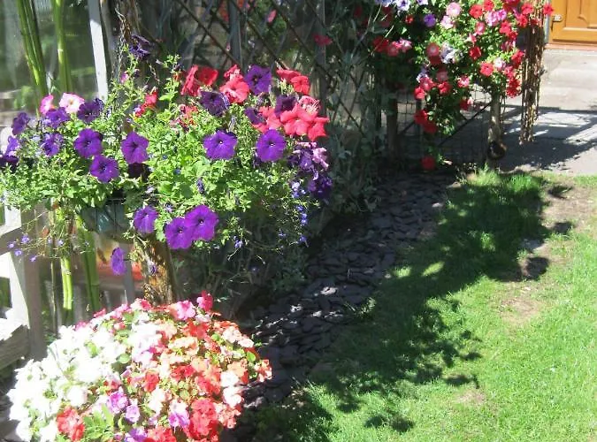 Perfect For Petersfield B&B