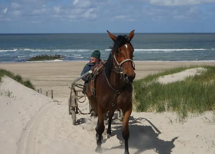 Bed&Breakfast aan Zee