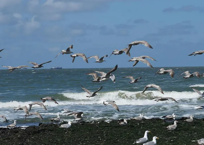 Bed&Breakfast aan Zee Callantsoog