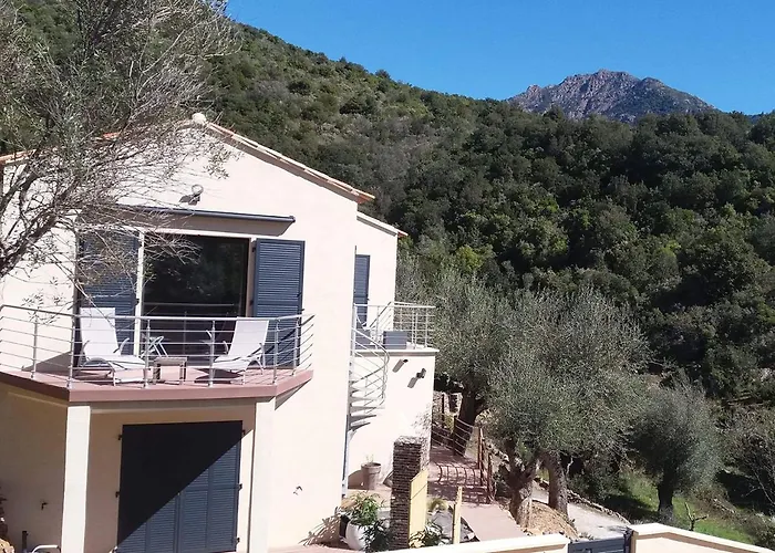 L'oliveraie du Fango