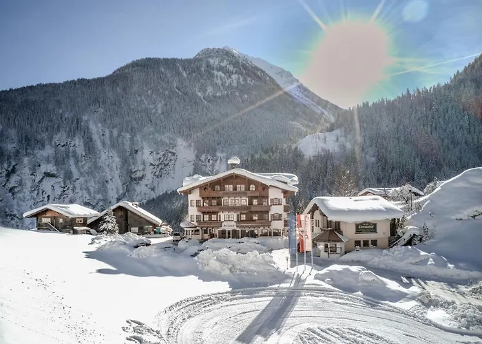 Dornauhof