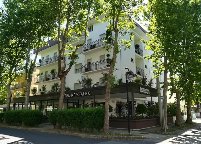 Kristalex Pet Friends Hotel
