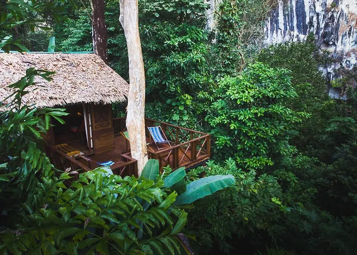 Our Jungle House - SHA Certified