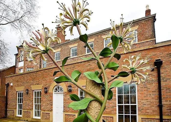 Houndgate Townhouse