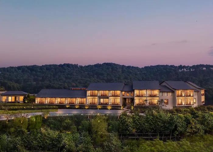 Storii By Itc Hotels, Amoha Retreat Dharamshala