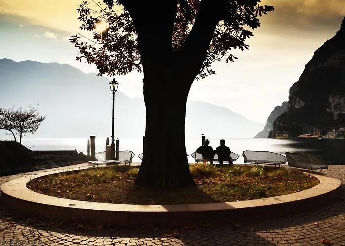Riva City View