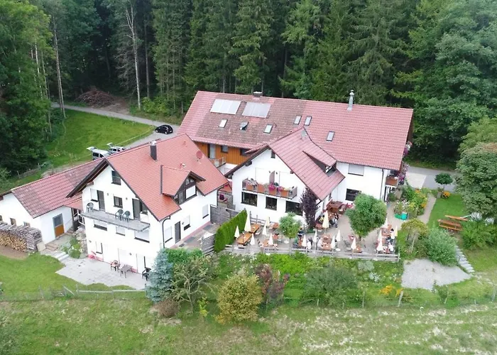 Gasthof Grüner Baum Kongo